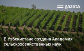 В Узбекистане учреждена Академия сельскохозяйственных наук