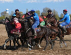 В Оше определился победитель турнира по кок-борү