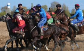 В Оше определился победитель турнира по кок-борү