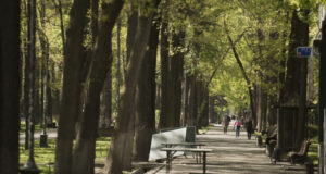 Мэр Джунушалиев инициировал создание электронных карт всех деревьев города