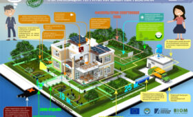 Эксперты бьют тревогу из-за деградации зеленой среды в школах Бишкека