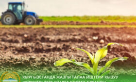 В Кыргызстане под урожай отвели 1,25 млн гектаров земли