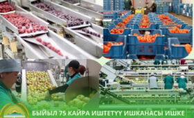 В 2026 году по всему Кыргызстану откроются 75 перерабатывающих предприятий