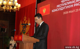 «Черногория и Кыргызстан  демонстрируют обоюдное стремление к сближению»