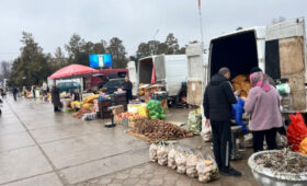 Цены ниже рыночных привлекли покупателей на ярмарку в Токтогульском районе