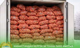 Кыргызстан вернул в Казахстан 56 тонн лука из-за нарушений в документах