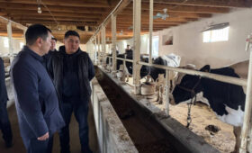 Глава Минсельхоза проинспектировал передовое хозяйство в Сузаке