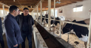 Глава Минсельхоза проинспектировал передовое хозяйство в Сузаке