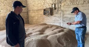 В Кыргызстане подвели итоги господдержки семеноводства