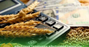 Фермеры КР могут получить до 5 млн сомов на развитие хозяйства