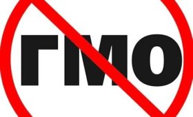 В Кыргызстане усилят ответственность за ложную информацию об органике