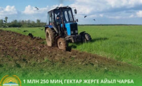 В Кыргызстане под урожай 2026 года засеют 1,25 млн гектаров земли