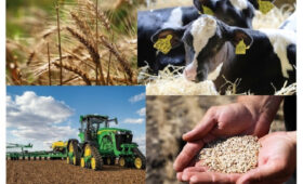 В Кыргызстане запустили горячую линию по сельхозпереписи