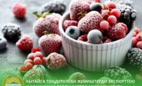Китай открывает рынок для замороженных фруктов из Кыргызстана
