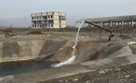 В Джалал-Абадской области создают мощнейший рыбный кластер