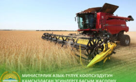 Минсельхоз просит фермеров сосредоточиться на пшенице, овощах и свекле