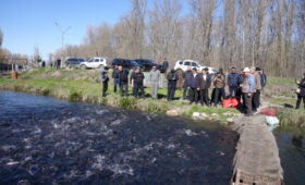 В КР рыбоводы требуют снижения налогов и устранения барьеров при экспорте