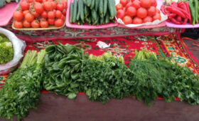 В Беловодском прошла фермерская ярмарка с ценами ниже рыночных