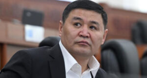 В МВД рассказали подробности задержания Шаирбека Ташиева