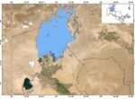 На высохшем дне Аральского моря сформировалась новая экосистема
