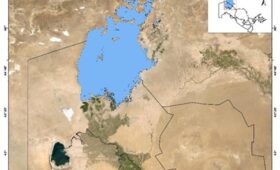 На высохшем дне Аральского моря сформировалась новая экосистема