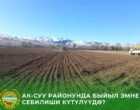 В Ак-Суйском районе под зерновые культуры отвели почти 27 тысяч гектаров