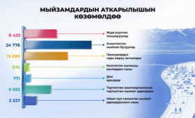 Прокуратура выявила нарушения в работе госорганов в 2025 году