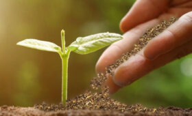 В Араванском районе открылся агромагазин «Элдик» для поддержки фермеров