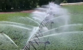 В Кыргызстане запускают программу льготных кредитов на полив под 2% годовых