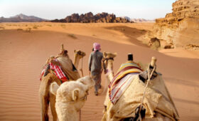 Ближний Восток может потерять до 56 млрд долларов из-за кризиса в туризме