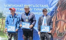В Кыргызстане впервые прошел чемпионат по конному туризму