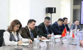 Кыргызстан и NWT Group нацелены на совместные проекты