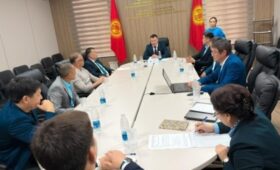 Глава ГКНБ возглавил новую Ассоциацию ММА Кыргызстана