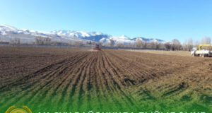 В Ак-Суйском районе под зерновые культуры отвели почти 27 тысяч гектаров