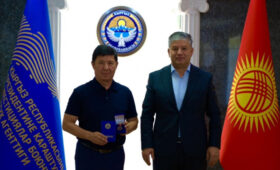 Темиру Сариеву вручили награду «Отличник инвестиций»