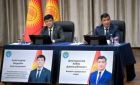Жители Достука пришли к мэру за ответом по земельному вопросу