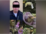 В Караколе накрыли мини-нарколабораторию. Подозреваемый сбывал марихуану и гашиш