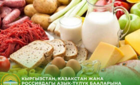 Сравнительный анализ цен на продукты в Кыргызстане, Казахстане и России