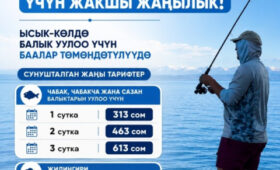 В Кыргызстане планируют снизить плату за любительскую рыбалку на Иссык-Куле