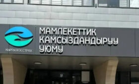 ПРООН поддерживает развитие экспортного страхования в Кыргызстане