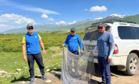 В Суусамыре и Жайылском районе пресекли нарушения правил рыболовства