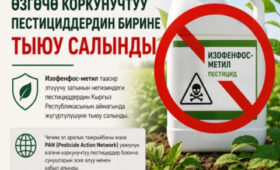 В Кыргызстане полностью запретили один из особо опасных пестицидов