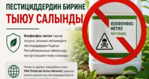 В Кыргызстане полностью запретили один из особо опасных пестицидов