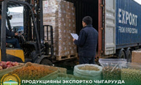 Минсельхоз напомнил экспортерам из КР о правилах поставок сельхозпродукции