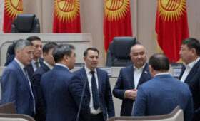 Кыргызский парламент пошёл за львом
