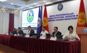 Минприроды КР увеличило взыскание штрафов до 38,6 млн сомов