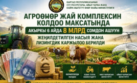 За 6 месяцев агросектор получил льготное финансирование на 8,1 млрд сомов