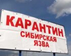 В КР могут сократить санитарные зоны вокруг очагов сибирской язвы