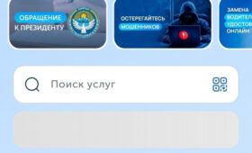 В Кыргызстане запустили прямую цифровую связь с президентом через «Тундук»