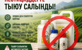 В Кыргызстане полностью запретили три вида опасных ядохимикатов